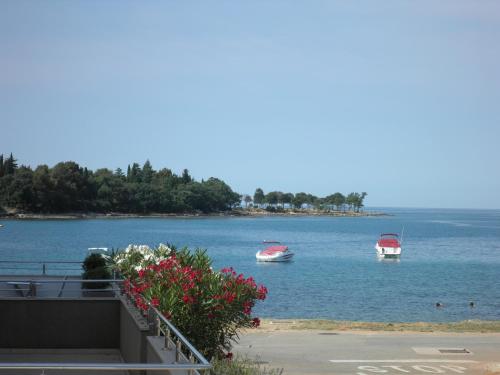  Apartment Sofia in Lovrečica