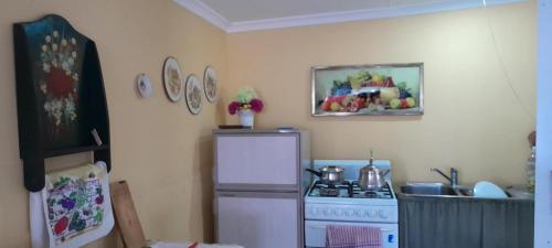 Blue Flower Cottage in Lightning Ridge