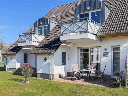 Silbermöwe in Zingst, Deutschland