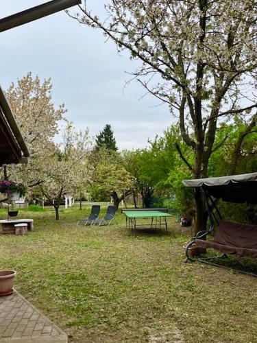 Demeter Vendégház (Demeter Vendeghaz) in Tizaderza