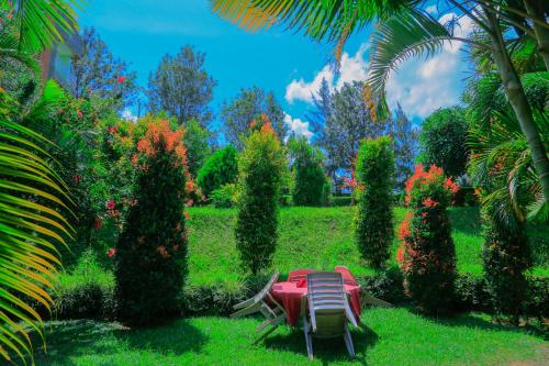 Premier motel in Bushenyi