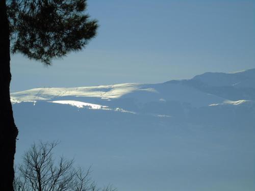 Glamping Abruzzo - The Yurt