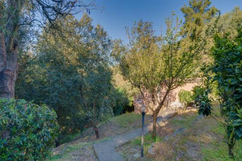 Il Boschetto sul Mare - Goelba - image 5