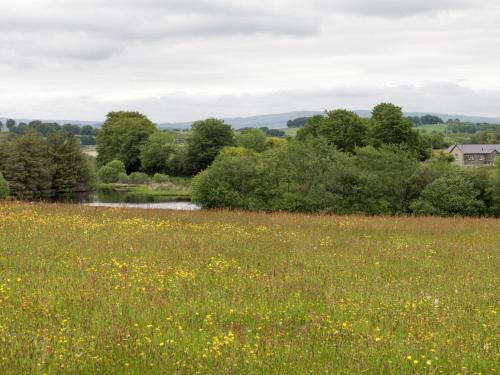 Iekārtas, Gelli Hir in Tregaron