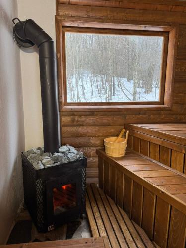 Satul de vacanta Cuibul Lupilor in 內格雷尼