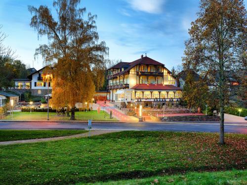 Park Hotel - Accommodation - Boppard