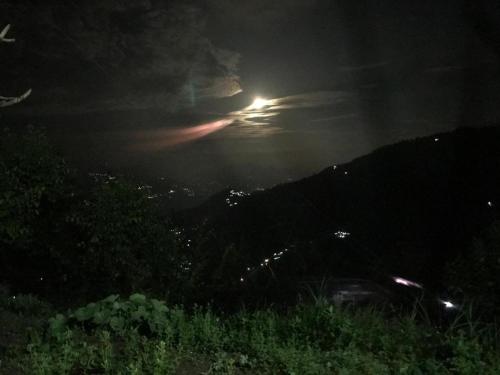 Mussoorie Lodge - image 4