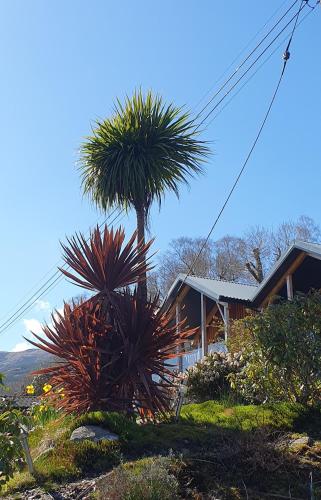 Carrick Chalets in Carrick