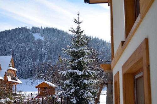 VILLA NOSAL - Zakopane - image 12