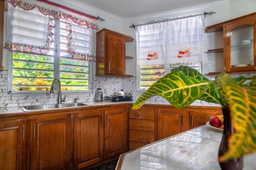 Ferapalms Tropical Escape with Ocean & Mountain View in La Plaine