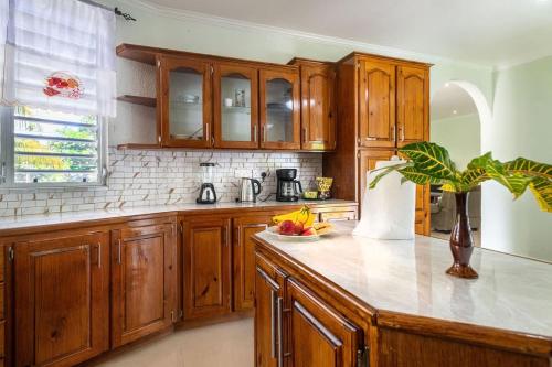 Ferapalms Tropical Escape with Ocean & Mountain View in La Plaine
