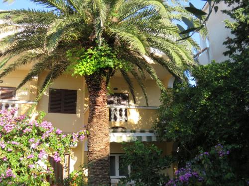 外部景觀, Apartments Palma Novalja in 諾瓦家