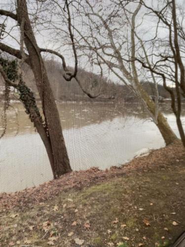 Riverfront - Cozy Loft Cottage - image 6