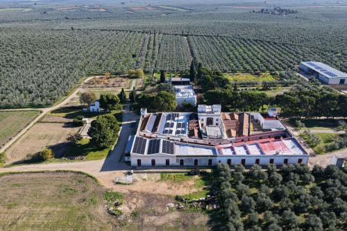 Terre di Traiano – Andria, TX
