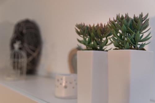 One-Bedroom Apartment image 2