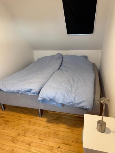 Unnuisarfik grønhus in Qaarsut