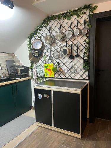 virtuve, Lighthouse Apartman in Svilajnac