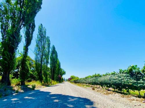 Alojamiento en Tupungato, Mendoza in San Jose