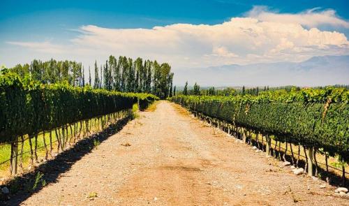 Alojamiento en Tupungato, Mendoza in San Jose