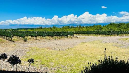 Alojamiento en Tupungato, Mendoza in San Jose