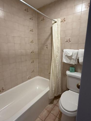 Baño, Monte Mario Motel & Efficiency in Latham