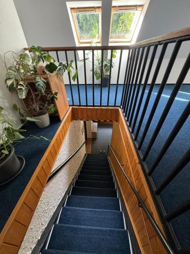 7Rooms in Telnice