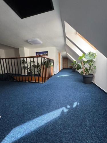7Rooms in Telnice