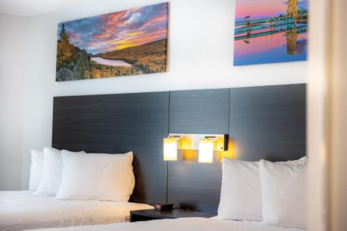 Independence Stay Hotel and Long term suites - image 13