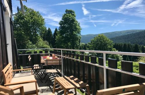 Apkārtne, Grand chalet cosy, sauna & vue de rêve (Grand chalet cosy, sauna & vue de reve) in Ban-sur-Meurthe-Clefcy