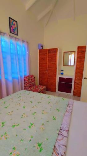 Juju's Cottage with magnificent views in Laborie