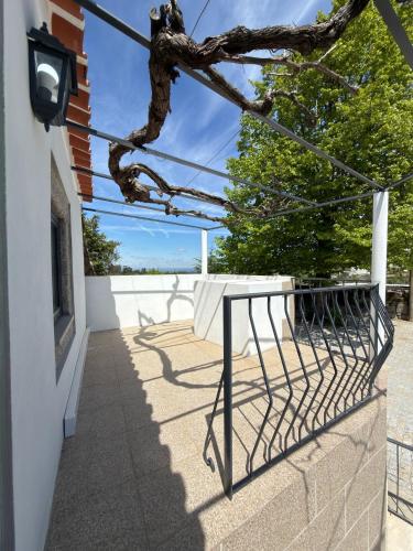 Casa da Videira gîte à louer Chamusca