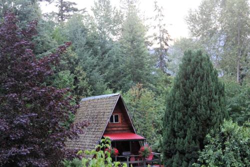 Sunny Bluffs Chalets