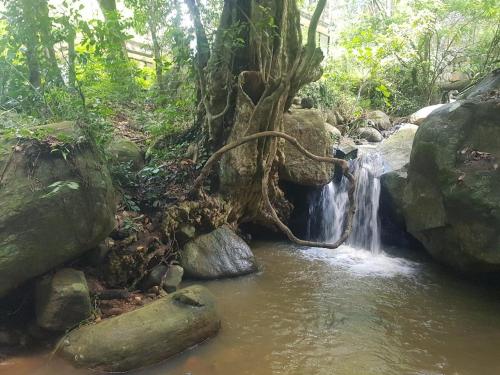 Dilco Nature Resort - BERAGALA in Haputale