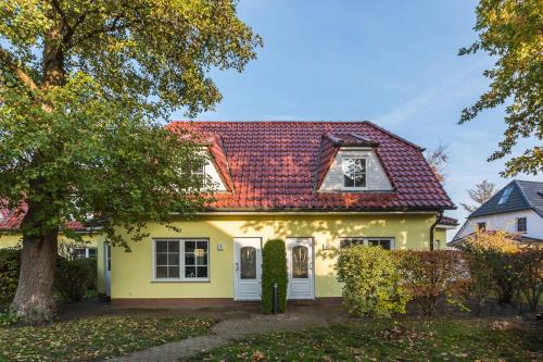 Wasserkäfer, Zingst (fotografie 2)