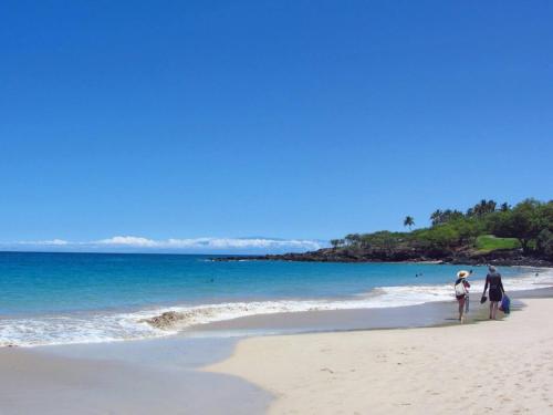 ❤PiH❤Makai Living Light and Modern Great Location - image 3