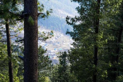 Lemon Lodges Nathiagali - image 12