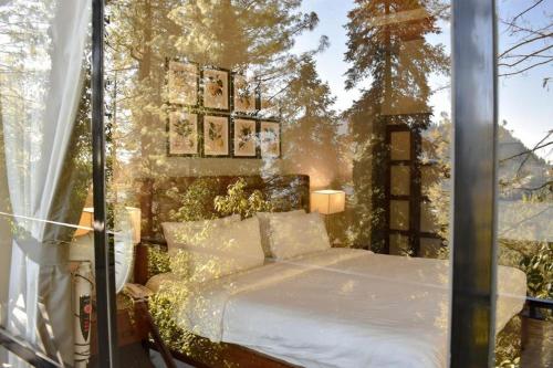 Lemon Lodges Nathiagali - image 11