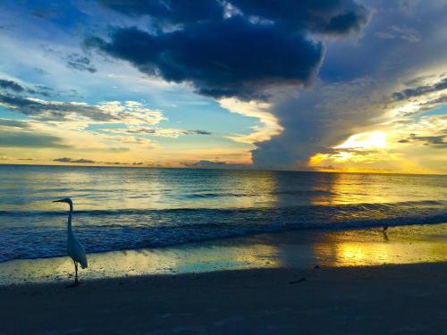 Carousel Motel -Redington Shores