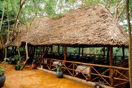 Attractions, BCB Suites in Karatu