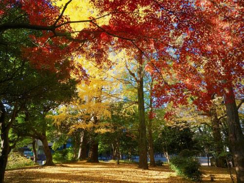 -Ebisu 2chome-　10-minute walk to Ebisu Station/13 people/Shibuya