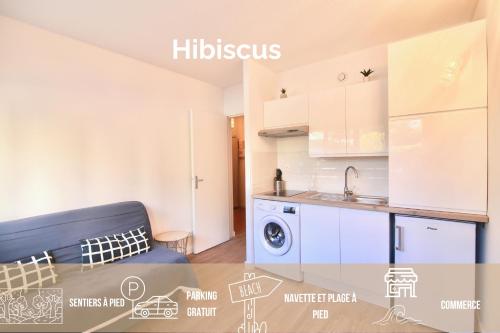 Les Hibiscus - Saint-Mandrier-sur-Mer