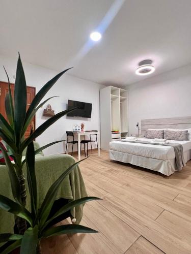 Riquiño-Estudio playa Canteras