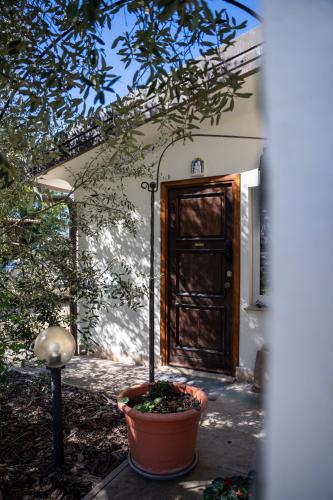 Villino Ca' Bianca, vicino ad Alba, NO ZANZARE, accessibile e con sollevatori aerei gîte à louer Cavallo