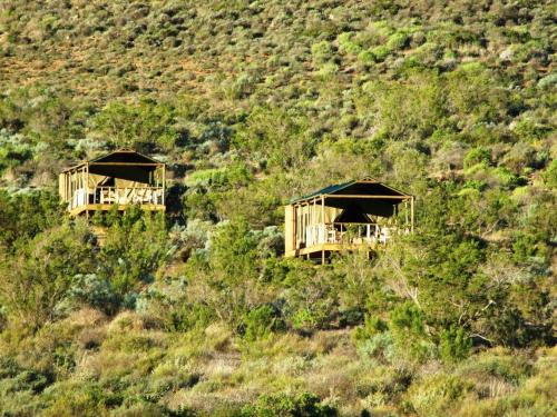 Agama Tented Camp