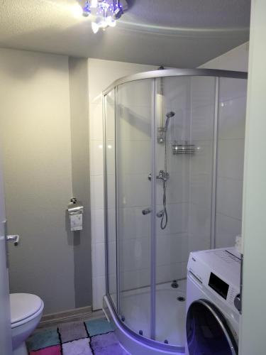 Bathroom, Wohnung in Elz in Elz