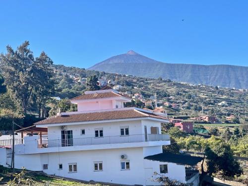 Sea view avocado Finca Ten Days 2
