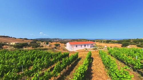 Il Sughereto In Vigna gîte à louer Caldosa