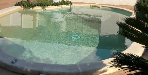 Pohled zvenku, Ô'wazo, Jolie Maison, Piscine (O'wazo, Jolie Maison, Piscine) in Lanton