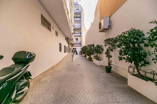 Fuengirola City Center - image 5