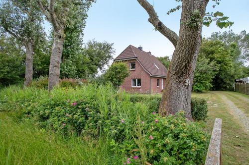 Ferienhaus Joshy in Rodenäs, Deutschland